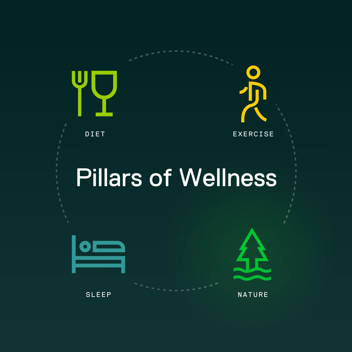 NatureDose wellness pillars icons