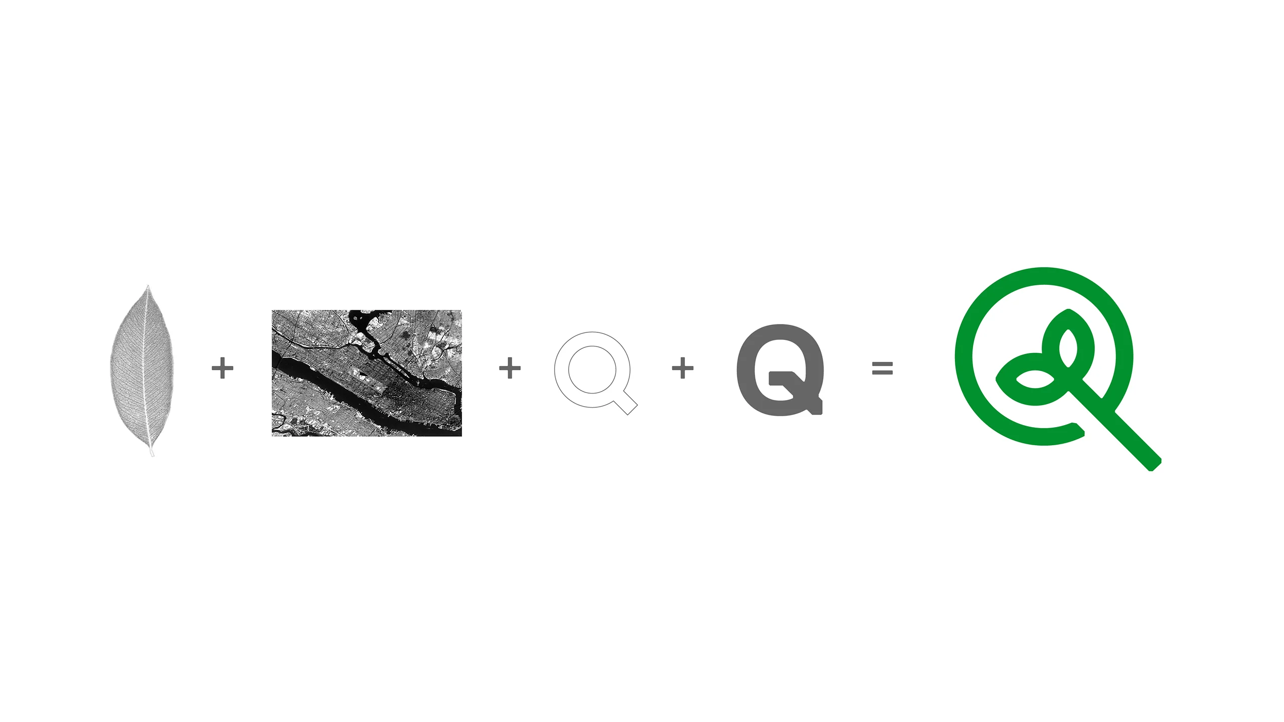 NatureQuant logo equation