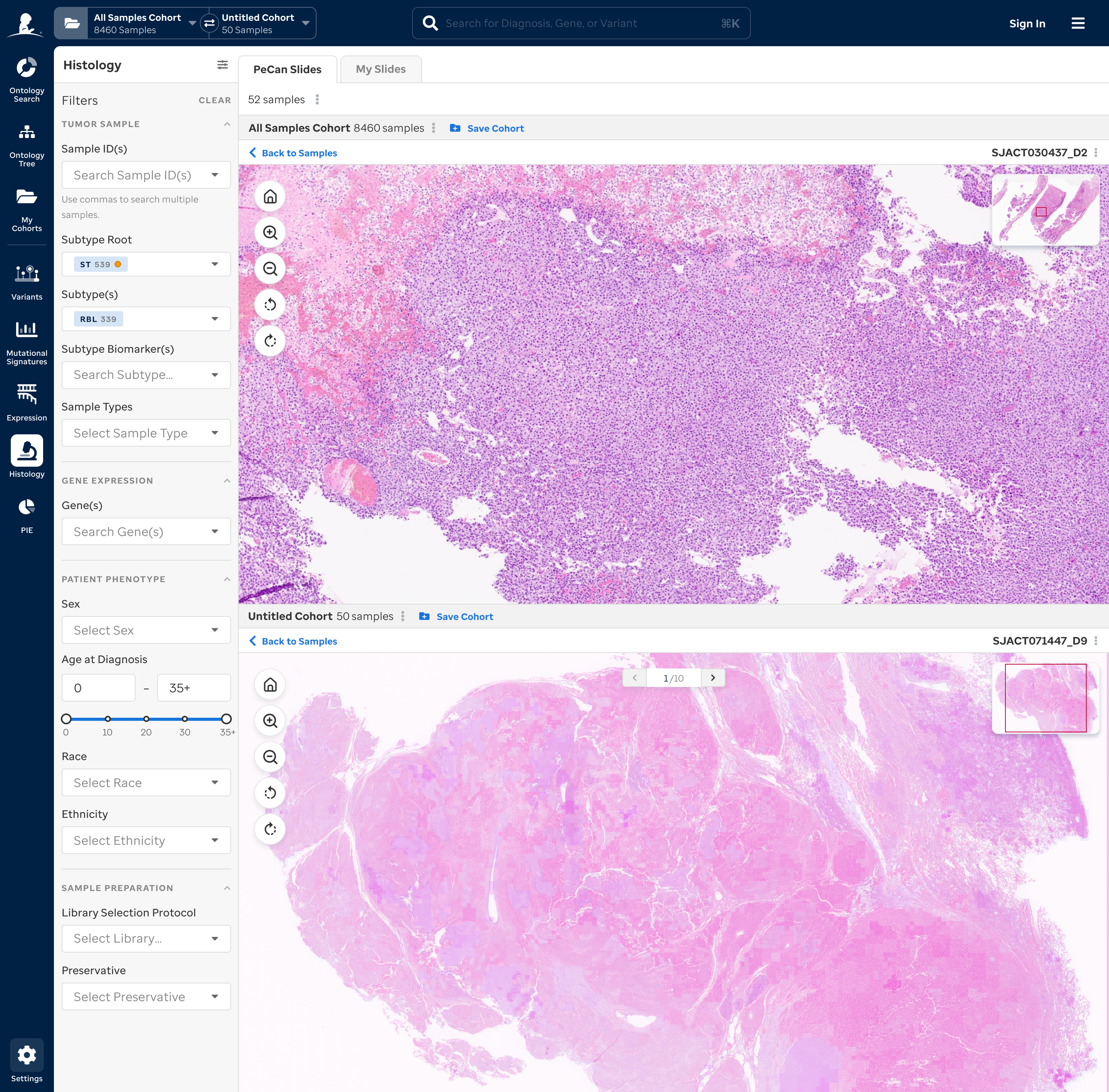 Cohort histology comparison