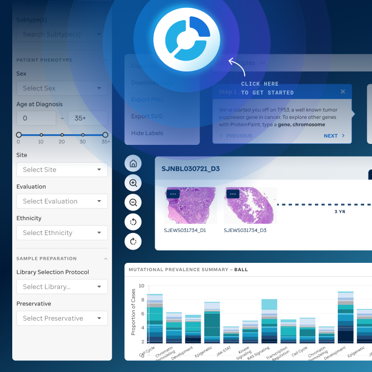 PeCan knowledge base