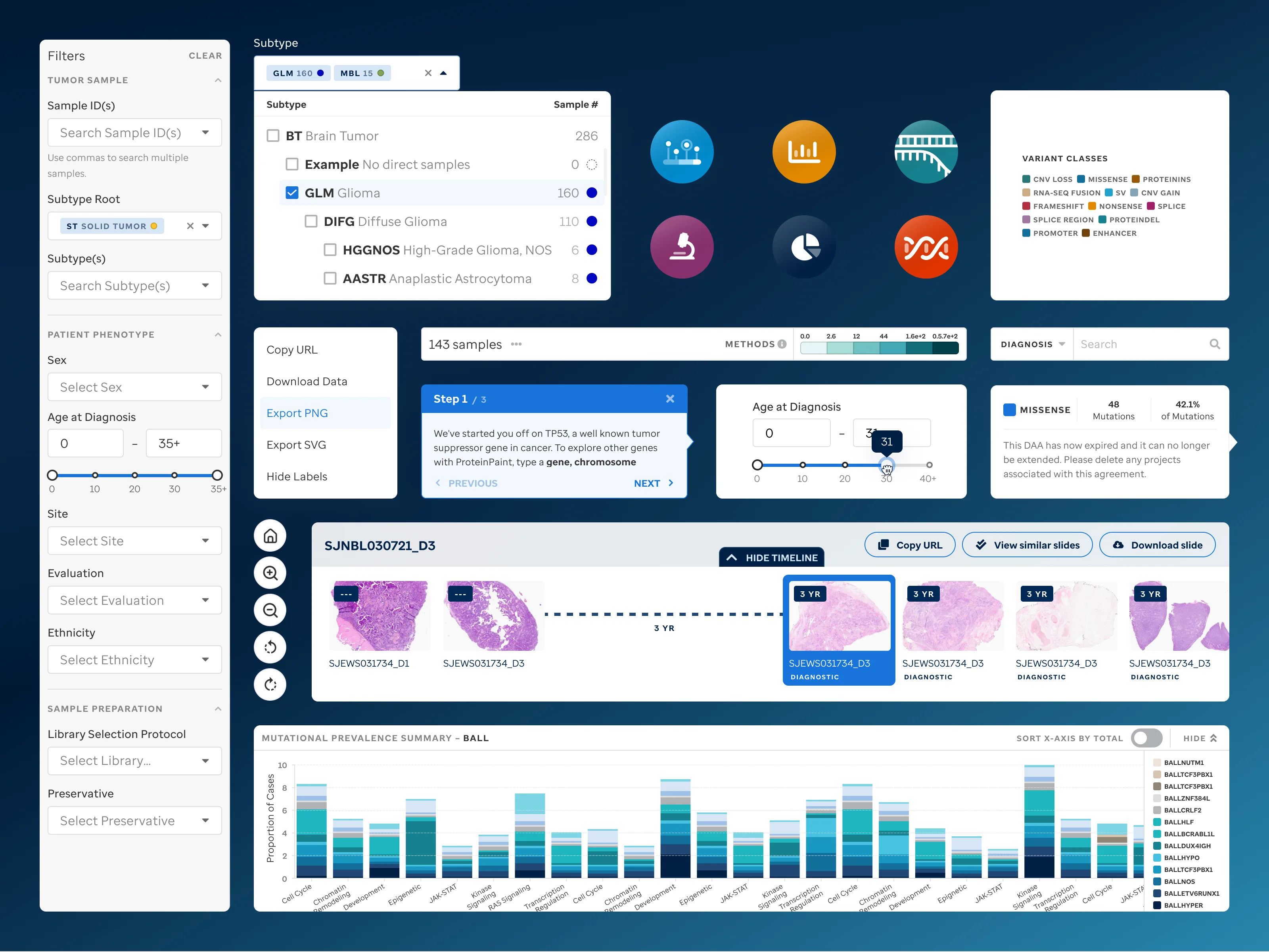 Pecan UI elements