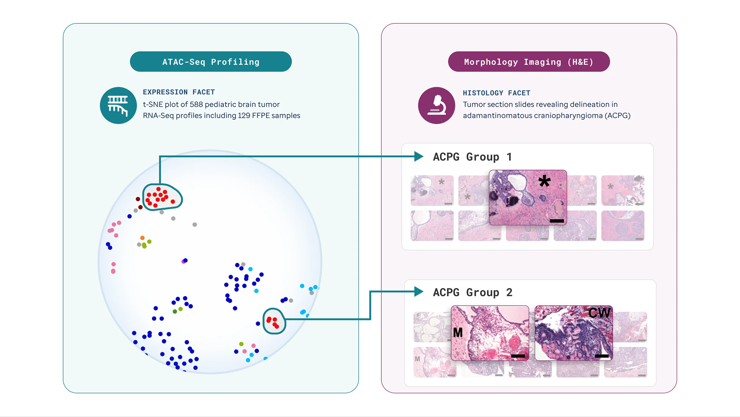 Presentation slide illustrations
