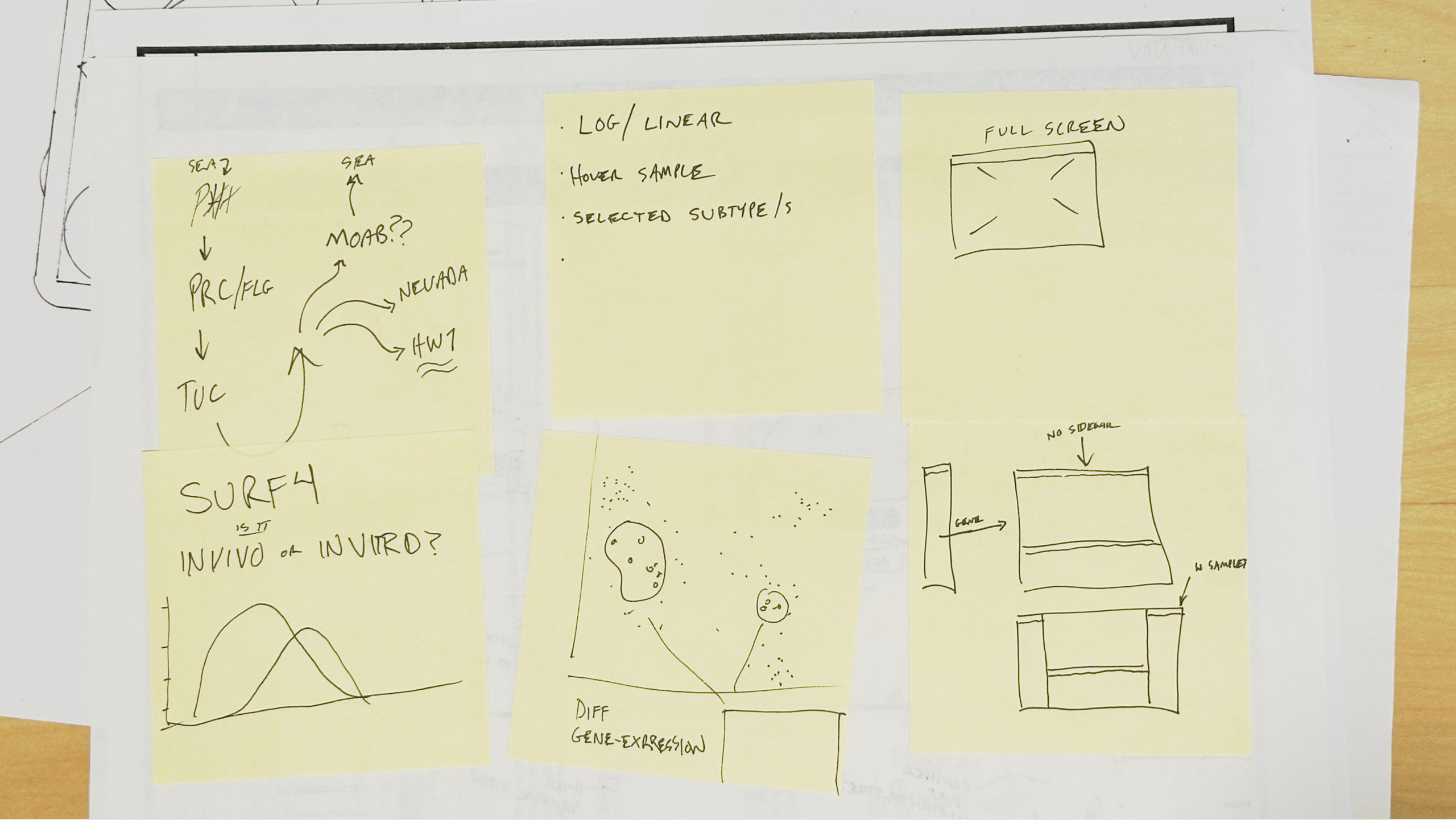 Cohort gene sketches