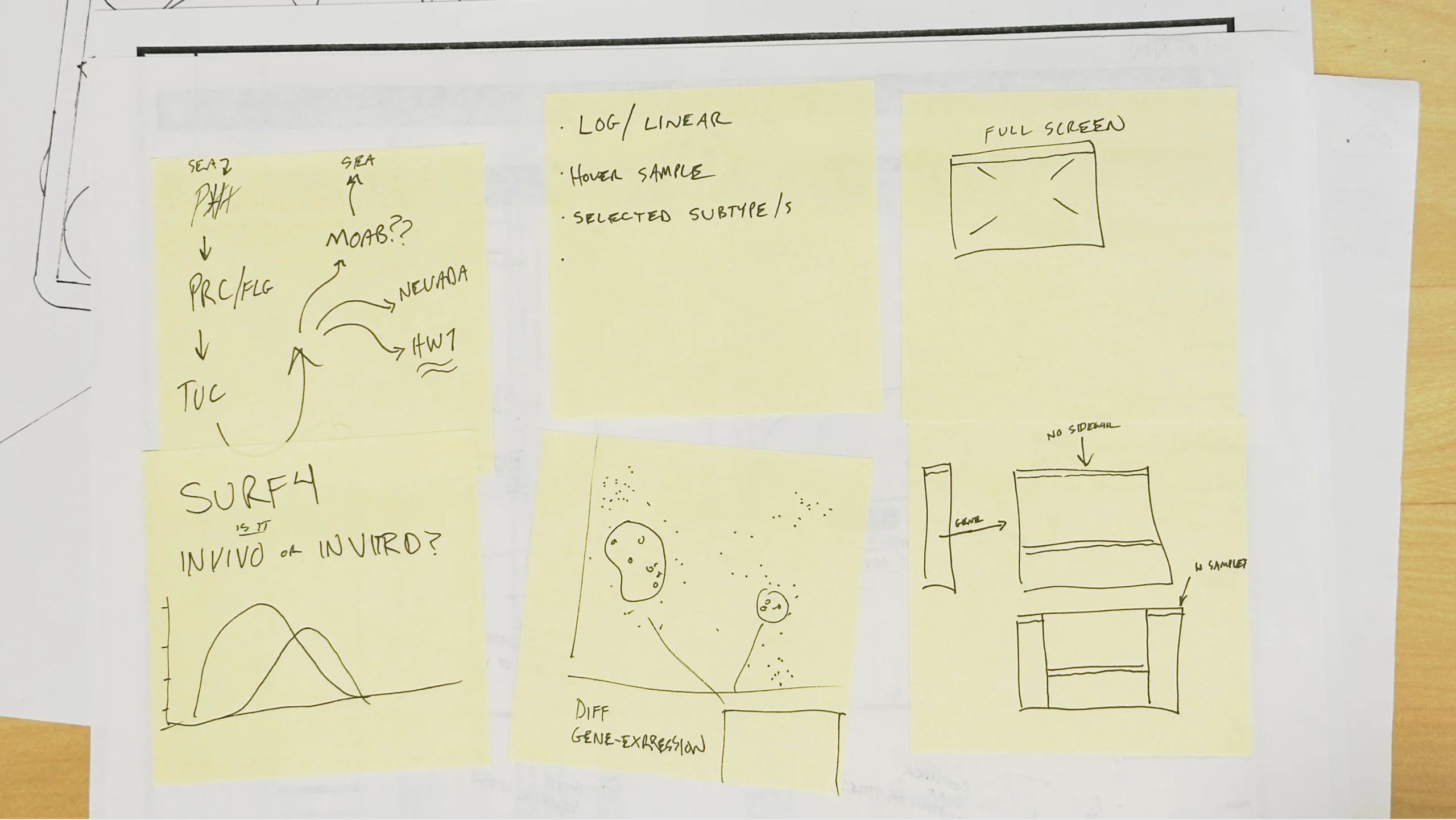 Cohort gene sketches