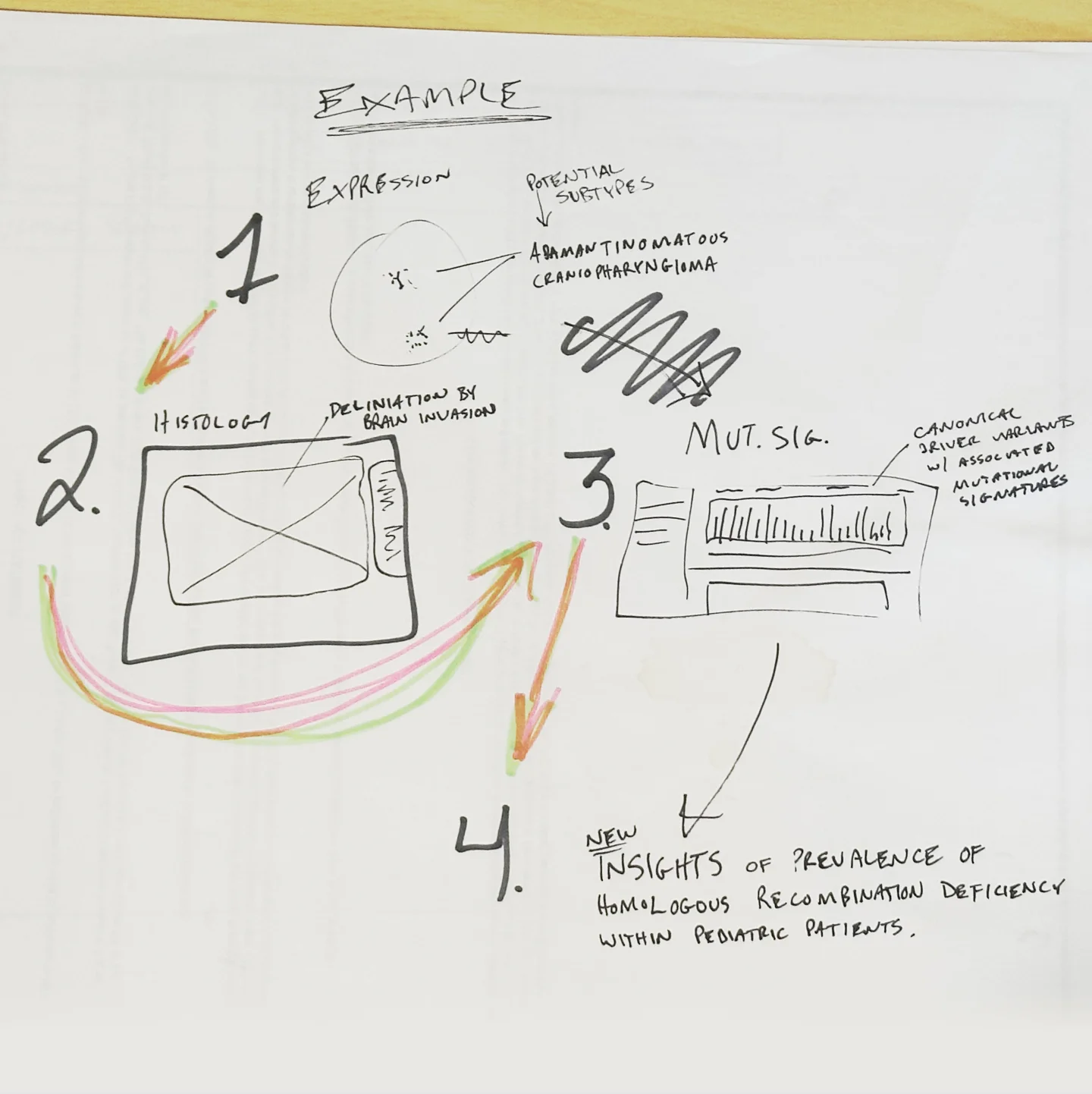 Pecan UX flow sketch